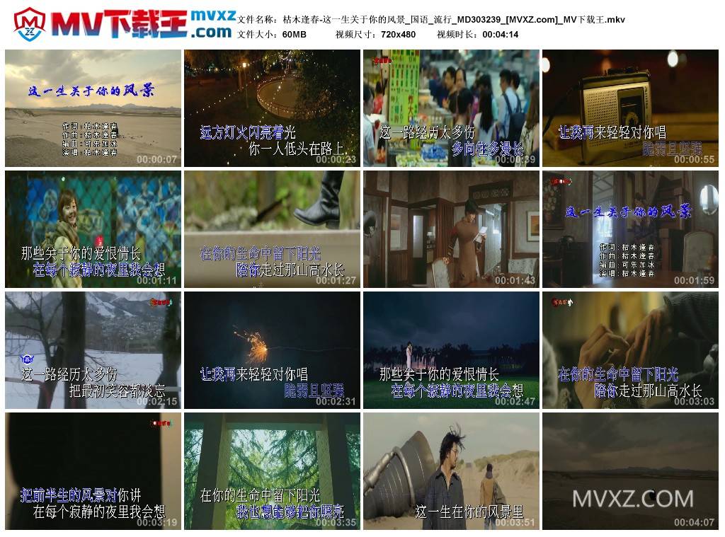 枯木逢春-这一生关于你的风景_国语_流行_MD303239